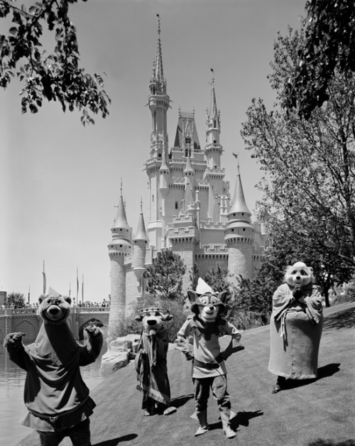 vintagedisneyworld:  Little John, Prince John, Robin Hood and Friar Tuck at the Magic Kingdom’s Cind