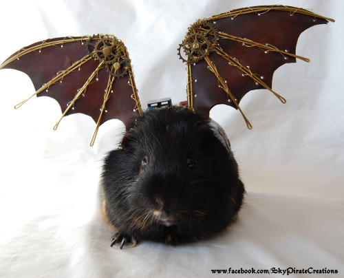 skypiratecreations:Ladies and Gentleman, i present you Pulguinha, the Steampunk Guinea Pig! He is th