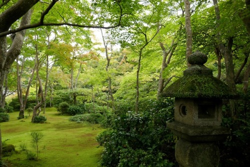 Ōkōchi Sansō, the home and gardens of actor Denjirō Ōkōchi in  Arashiyama, Kyoto, Japan. Copyrights 