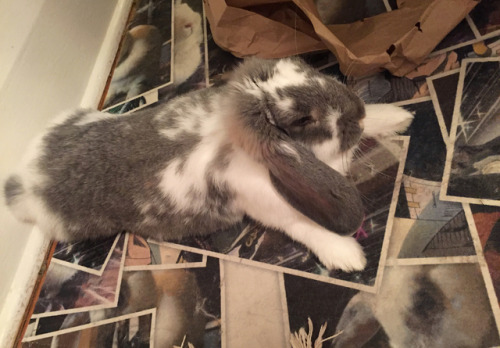 pangur-and-grim:such an akward teenage body