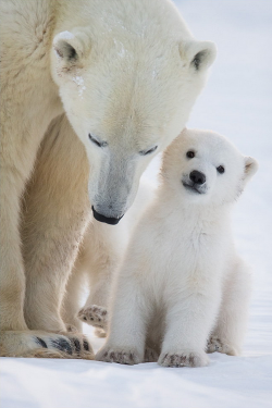 wonderous-world:  Will Always Love My Mom