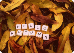 enchanting-autumn:  Hello Autumn! by Ildikó