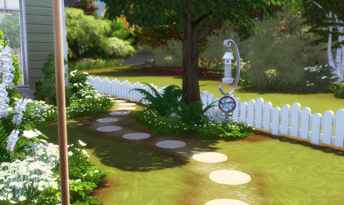 magnoliidae - rebuilding brindleton bay CREEKSIDE...