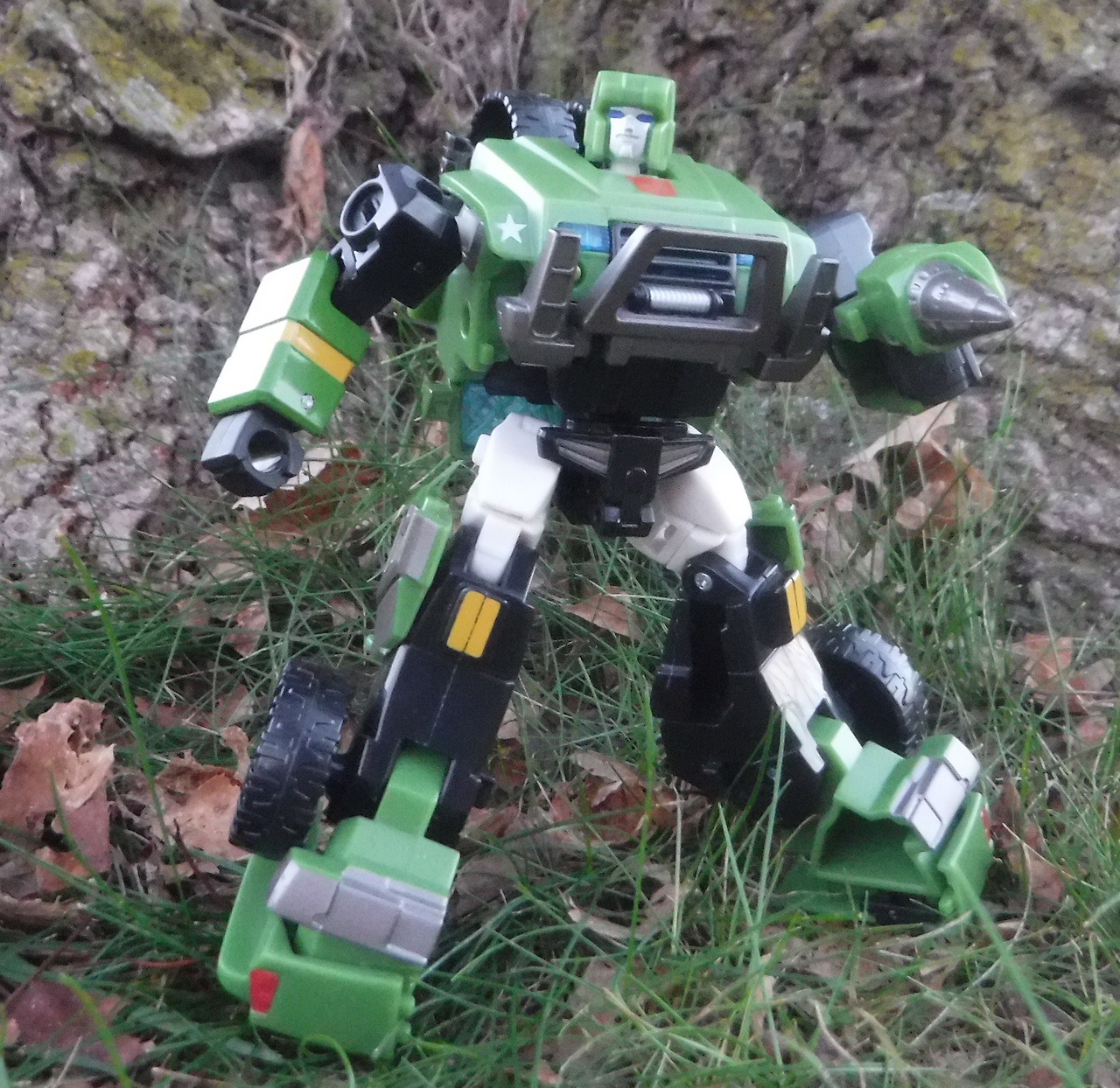 austinstoyblog: Hound