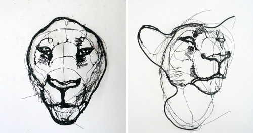 coolthingoftheday:  Artist David Oliviera creates intricate wire animal sculptures that resemble pencil sketches. 