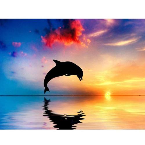 5D Diamond Painting  The Setting Sun Dolphin