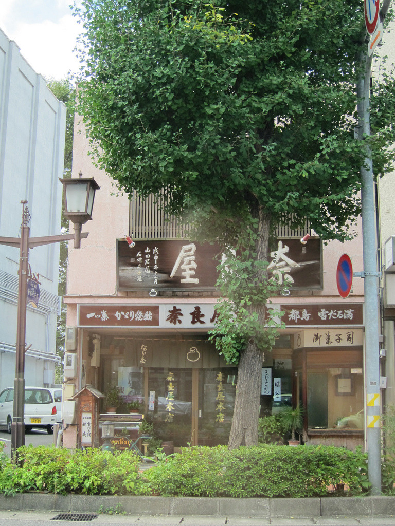 milkwing:  by Yuya Tamai 