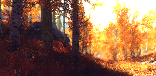 Skyrim.