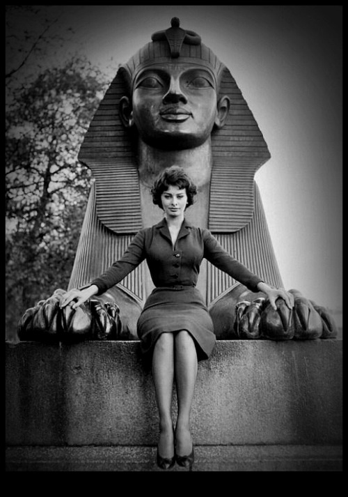 annalisa-urban: Sophia Loren 