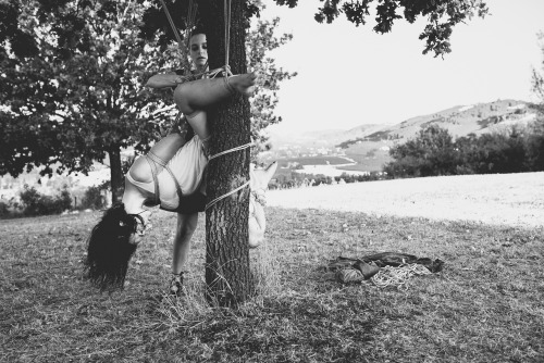 kirigamikinbaku: www.abbraccidicorde.com/tenshiko-qg-vigneti-kinbaku/ropes Tenshiko, model QG