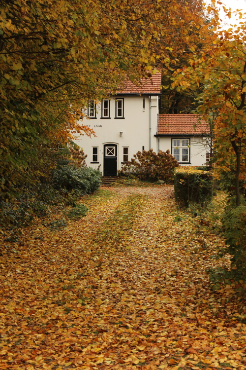 Around the Grebbeberg, Gelderland, The NetherlandsNovember 2019 © JB