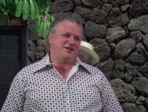  Hawaii Five-O (TV Series) - S8/E9 ’Retire in Sunny Hawaii… Forever’ (1975)Charles Durning as