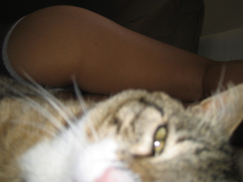 tumblr photo hiddenpix 0