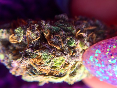 princessdabber:purple dragon // found our porn pictures