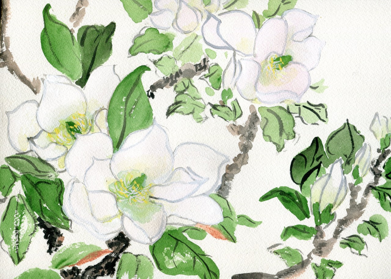 havekat:  Sweet Bay prints on society6 