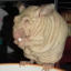 bigbuxleylover
