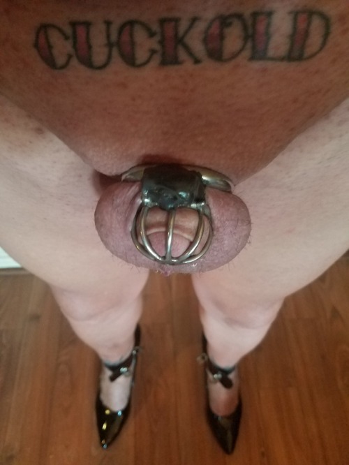 lockedinpland:Week 10 of permanent chastity