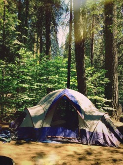 wild-souls:  wild-souls  Id much rather be here right now