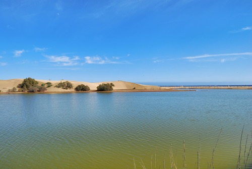 Maspalomas - Gran Canaria - Spain (by annajewelsphotography) Instagram: annajewels