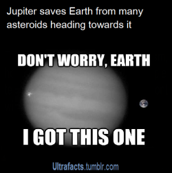 ultrafacts:  vancity604778kid:  mrmearo:  catsvsninjas:  ultrafacts:  Source (Want more facts? Click HERE to follow)  It’s quite awesome really, many of them just get eaten by Jupiter and are never seen again. The rest usually get catapulted back into