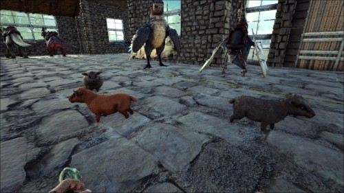 Afk In The Ark Got On Fjordur To Breed My Sheep And As I Was Afk In The Ark Got On Fjordur To Breed My Sheep And As I Was