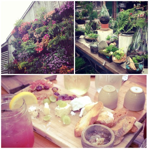 Ridiculously delicious lunch at Terrain of Styer’s, which was attached to a gorgeous greenhous