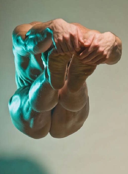 yogibodies:  