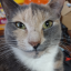 5fdplover555-blog
