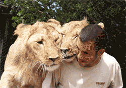 soyundinosaurioraw:  conchetublog:  -Ven pa’ acá weon… SOMO AMIGO O NO SOMO