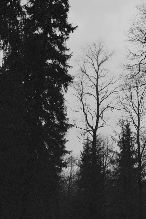apology-bad-thoughts.tumblr.com/post/99462967107/