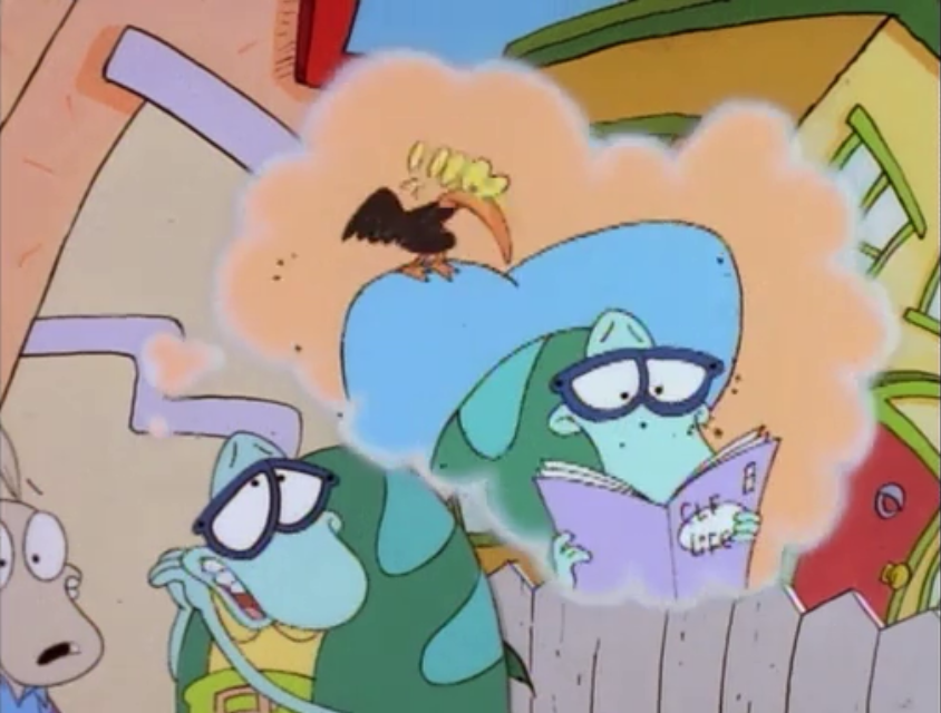 turdy rocko modern life