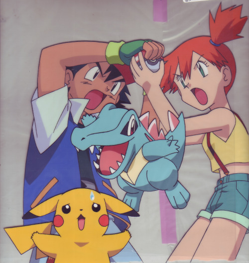 pokescans:Cel from the cover of one of the anime-based books.