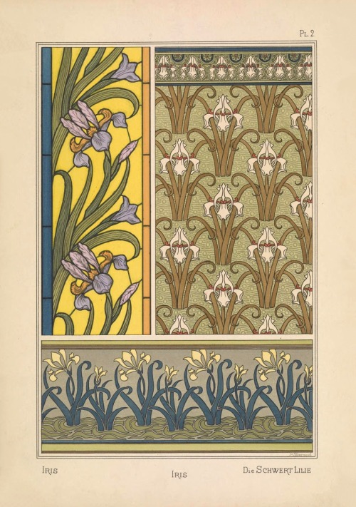 La plante et ses applications ornementales / plants and their application to ornament.1897.Edited by