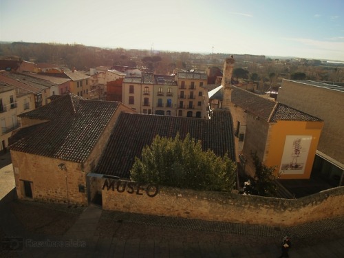 Museo de Zamora,Zamora, SpainFebruary 2018- Ray