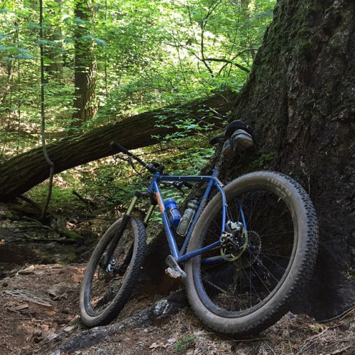 therubbishbin: Trail 6 up by Deadwood. Digging the 27.5+ Trailblazers on my old 29er. The lines are 