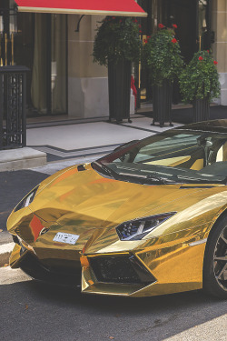 visualechoess:  Gold Digger