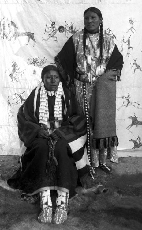 jeannepompadour:Portrait of She Came Spotted (seated) an unidentified Native American Sioux woman, p