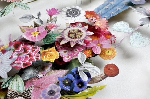 asylum-art:  Delicate Flower Constructions By  Anne Ten Donkelaarnetherlands-based artist anne ten donkelaar constructs her intricate flowerscapes using both real pressed flowers that she collects collaged with paper floral elements. the series of three-d