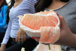 districtss:  niaall:  omgyouslut:  wonderstruq:  LOL ASIAN. OMG.  this is a fruit, explain how this is Asian?  because it’s a pomelo and it’s an Asian fruit   Q’d school