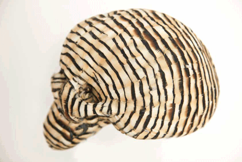 myampgoesto11:  Feather skulls by Laurence Le Constant part of the ‘My Lovely Bones’ series. Images courtesy of Galerie Géraldine Banier My Amp Goes To 11: Twitter | Instagram 