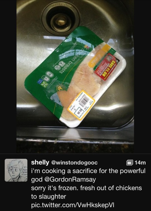 10knotes:  asksassyhumanwinston: //i’m so done with you right now mr. gordon ramsay 