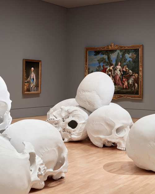 contemporary-art-blog:Ron Mueck, 100 sculpted skulls, The national gallery of Victoria, Australia