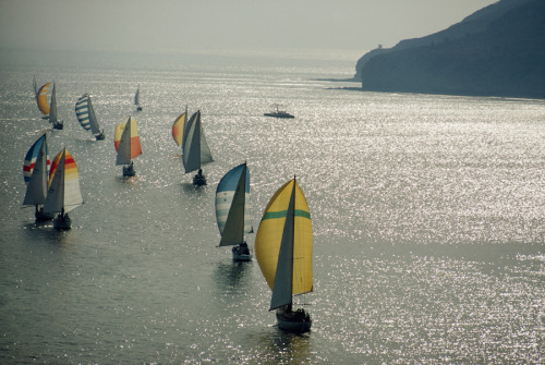 Yachts with spinnakers set cruise off Point Loma on glinting bay in San Diego, July 1969.Photograph 