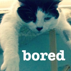 bored #unote http://unote.co/n/d81I038Sk0L/bored