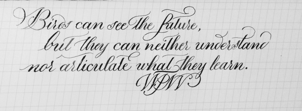 Scribe By Night Calligraphy — elliholi: It’s nice to know someone will ...