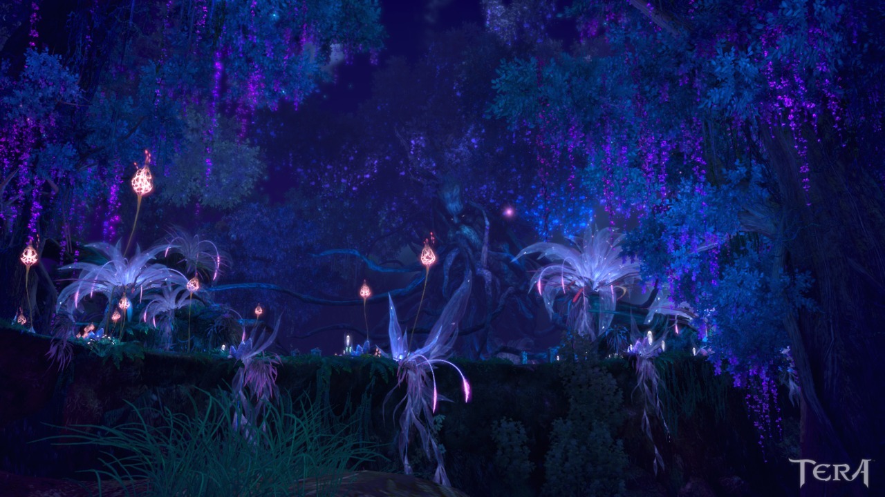 Tera online (beautiful night)