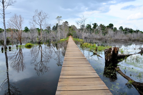 Neak Pean - The Temple of the “Entwined Serpents” - Angkor, Cambodia Set within a rectan