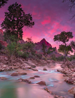 coiour-my-world:Zion National Park, UT ~ billyrubinphotography