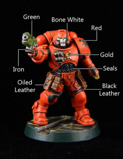 falchieyan: Blood Angel Primaris Reiver, “Painting App Style.” For those of you unfamiliar, Games Workshop has a free painting app that breaks down how to paint models the GW way.  Just as a random experiment to gauge interest, I’ll break down