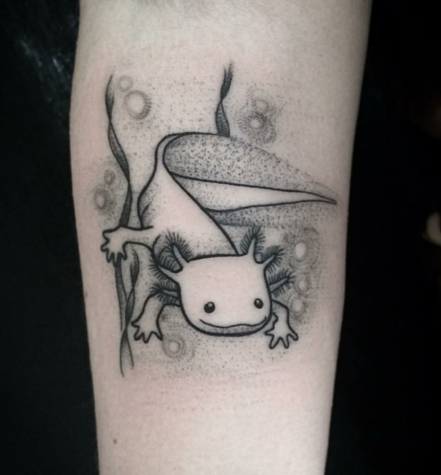 small axolotl tattooTikTok Search